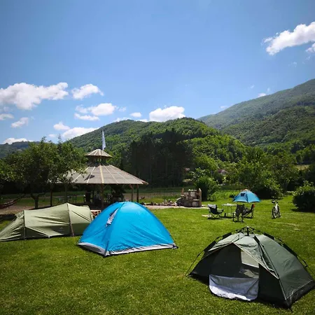 Kemp Camp Greenbear Outdoor Beserovina